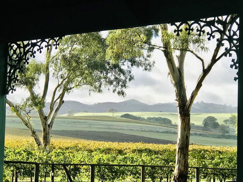 Azalea Cedar-Rose Barossa Valley Villa - Gold Coast 4U 1
