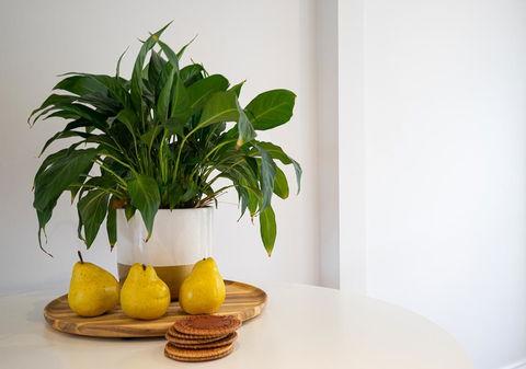 Azure Beach Retreat - Spa Luxury - Gold Coast 4U 2