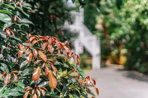 Balmoral Queenslander - Accommodation Gold Coast 2