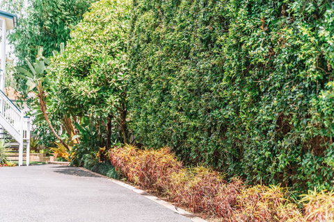 Balmoral Queenslander - Accommodation Gold Coast 3