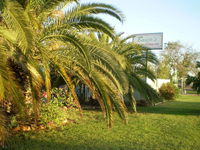 Book Winton Accommodation Vacations Accommodation Gold Coast Accommodation Gold Coast