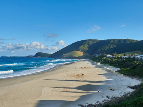 Banksia - Accommodation Gold Coast 1
