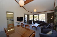 Banksia 1