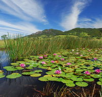 Barrington Hideaway- River Cottages - Accommodation Gold Coast