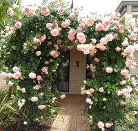 Baudins of Busselton Bed and Breakfast - 1 Gold Coast