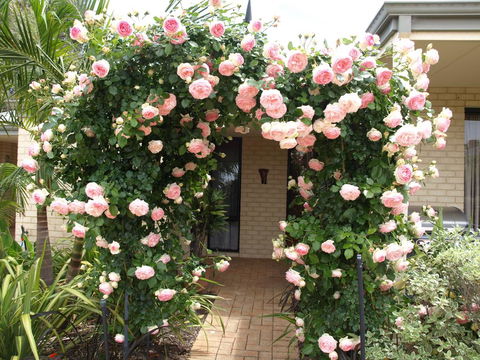 Baudins Of Busselton Bed And Breakfast - 1 Gold Coast 0