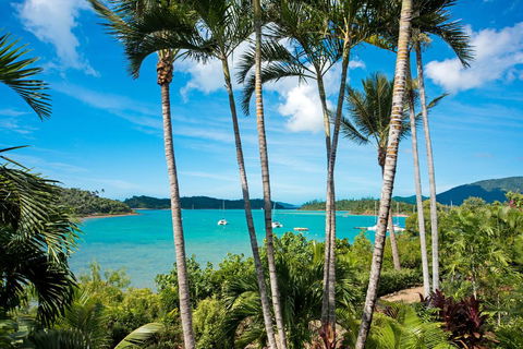 Baybliss Apartments Studio 1 - 1 Gold Coast 2