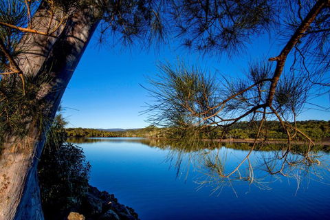 Reflections Ferry Reserve - Holiday Park - Gold Coast 4U 2