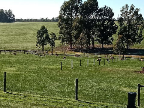 Redtail Ridge Cottages - 1 Gold Coast 1