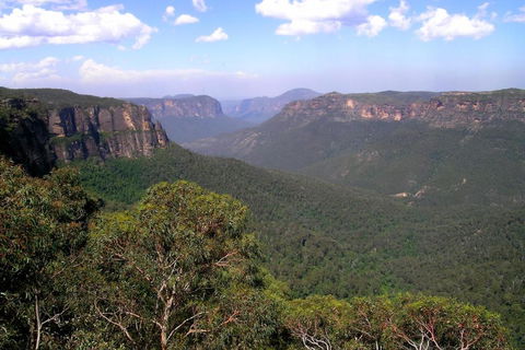 Ribbon Gum Lodge - Accommodation Gold Coast 1