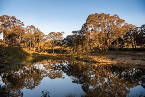 Rose Quartz - 1 Bed With Mountain Views - Kundalini Lodge - Accommodation Gold Coast 1