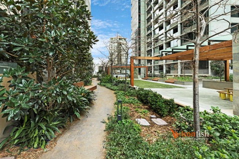 Sakura Apartment - Accommodation Gold Coast 3