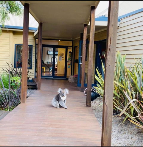 Sandpiper Motel Apollo Bay - 1 Gold Coast 3