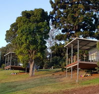 Beechmont Bean Cabins - Accommodation Gold Coast