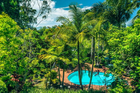 Bella Vista Bellingen - Accommodation Gold Coast 1