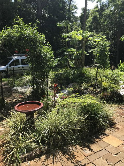 Bellarose Guest House - Accommodation Gold Coast 1