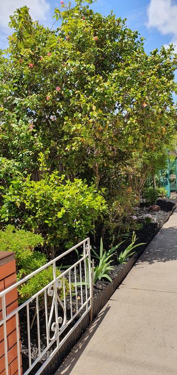 Betty's Place - Accommodation Gold Coast 1