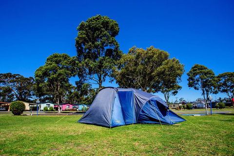 BIG4 Traralgon Park Lane Holiday Park - Accommodation Gold Coast 2