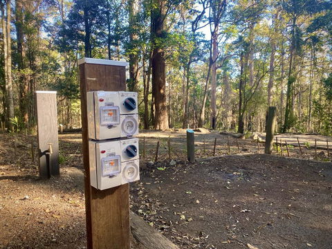 Binna Burra Rainforest Campsite - Accommodation Gold Coast 1