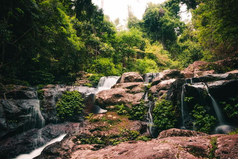 Binna Burra Rainforest Campsite - Accommodation Gold Coast 3