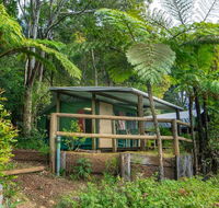 Binna Burra Rainforest Campsite - Accommodation Gold Coast