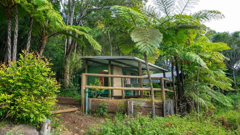 Binna Burra Rainforest Campsite - Accommodation Gold Coast 0