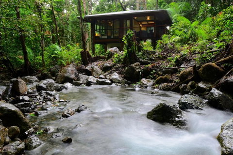 Black Palm Cape Tribulation - Accommodation Gold Coast 2