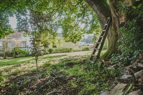 Blacksmiths Cottage - Gold Coast 4U 1