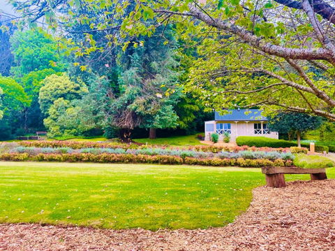 The Mountain View Cottage - Gold Coast 4U 3