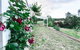 The Pine Tree Cottage - Charming Cottage Close To Canberra - thumb 3