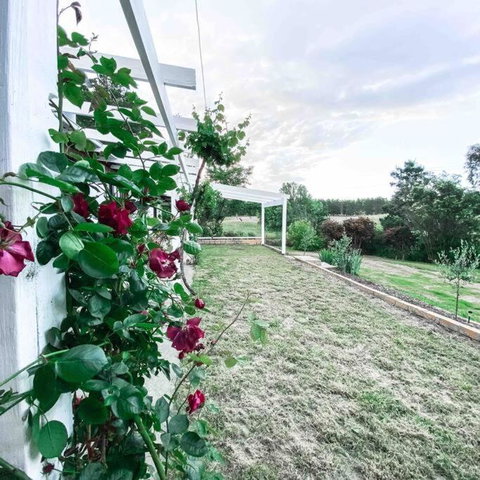 The Pine Tree Cottage - Charming Cottage Close To Canberra - Accommodation Gold Coast 3