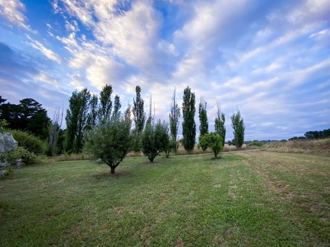 The Pine Tree Cottage - Charming Cottage Close To Canberra - Accommodation Gold Coast 1