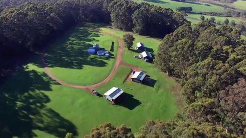Tinglewood Cabins - Accommodation Gold Coast 0