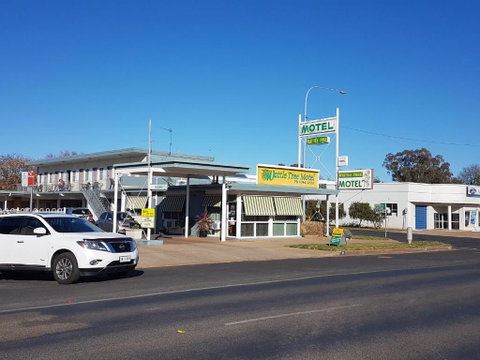 Wattle Tree Motel - Accommodation Gold Coast 1