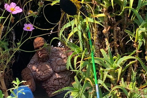 The Fully Local (Private) Tour - Accommodation Gold Coast 5