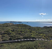 Penguin Island And Fremantle - Canoe Chocolate  Coffee - Accommodation Gold Coast
