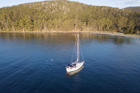 Twilight Sail Bruny Island - Accommodation Gold Coast 3