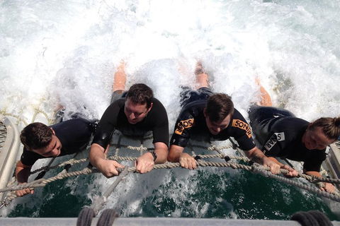 Cruise In Moreton Bay Marine Park And Moreton Island - Accommodation Gold Coast 0