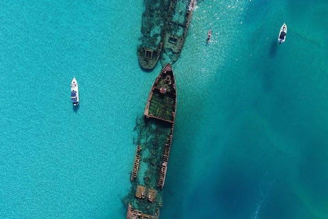 Cruise In Moreton Bay Marine Park And Moreton Island - Accommodation Gold Coast 1
