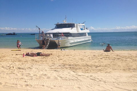 Cruise In Moreton Bay Marine Park And Moreton Island - Accommodation Gold Coast 4