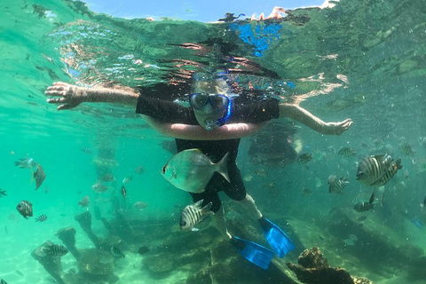 Cruise In Moreton Bay Marine Park And Moreton Island - Accommodation Gold Coast 5