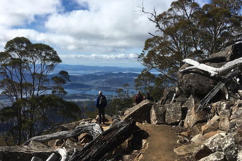 Kunanyi / Mt Wellington Explorer Bus - 2 Hour Return Tour - Accommodation Gold Coast 0