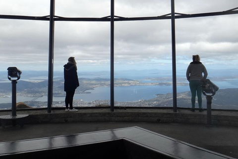 Kunanyi / Mt Wellington Explorer Bus - 2 Hour Return Tour - Accommodation Gold Coast 1