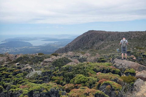 Kunanyi / Mt Wellington Explorer Bus - 2 Hour Return Tour - Accommodation Gold Coast 3