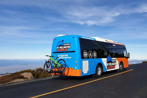 Kunanyi / Mt Wellington Explorer Bus - 2 Hour Return Tour - Accommodation Gold Coast 4