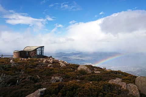 Kunanyi / Mt Wellington Explorer Bus - 2 Hour Return Tour - Accommodation Gold Coast 5