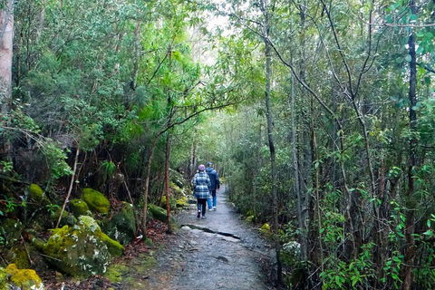 Kunanyi/Mt Wellington Tour & Hobart Hop-On Hop-Off Bus - Accommodation Gold Coast 1
