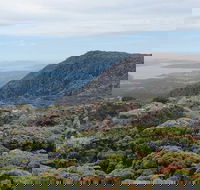 kunanyi/Mt Wellington Explorer Bus - One Way Tour - Accommodation Gold Coast