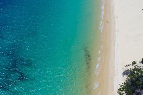 Private Tangalooma Wrecks Tour - Accommodation Gold Coast 1