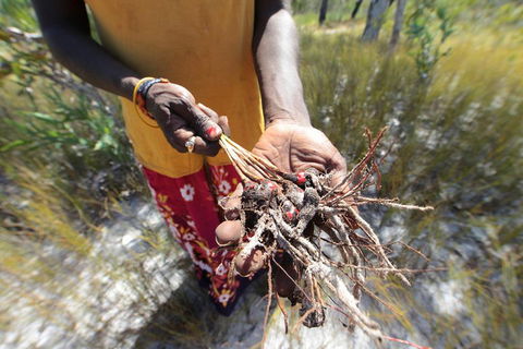 Gay-Wu Woman's 5 Day Yolngu Homeland Tour - 1 Gold Coast 0